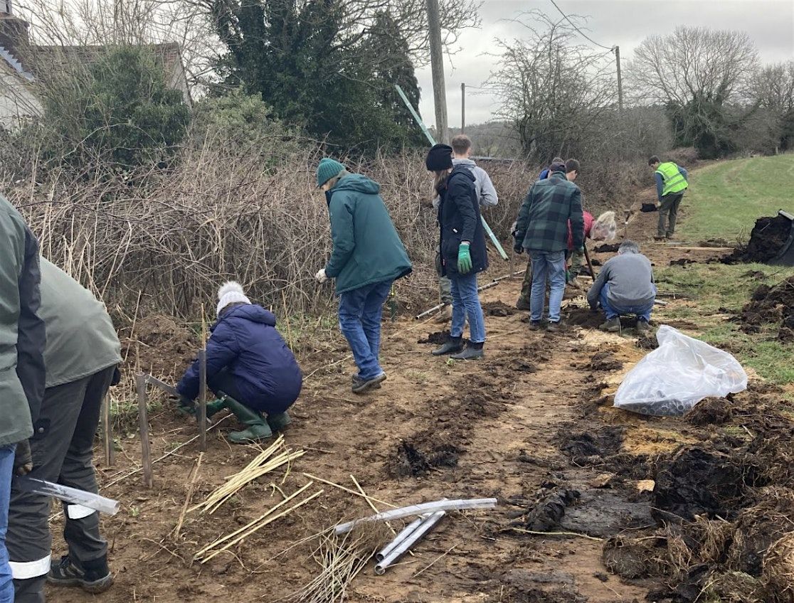 Hedge Planting Day at Great Tangley Manor Farm