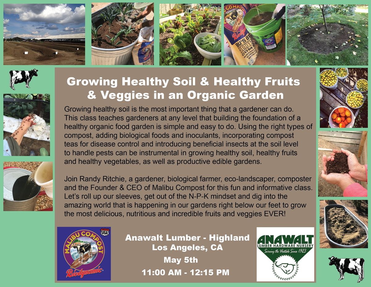 Growing Healthy Soil, Fruits & Veggies in an Organic Garden
