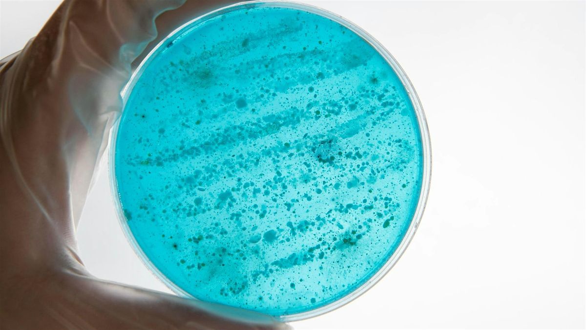 Nature\u2019s Hardware Store: Building the Future with Biology
