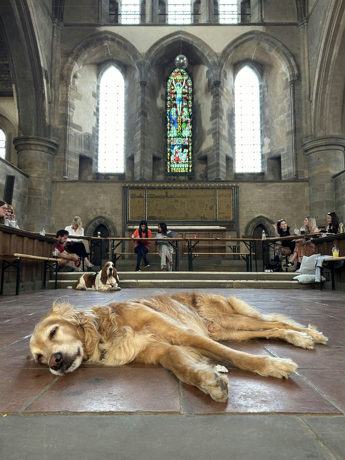 Dog Life Drawing - Left Bank Leeds