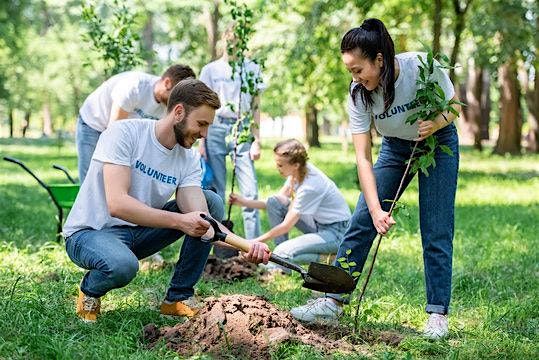 ROTARY TREE TOWN PLANTING EVENT