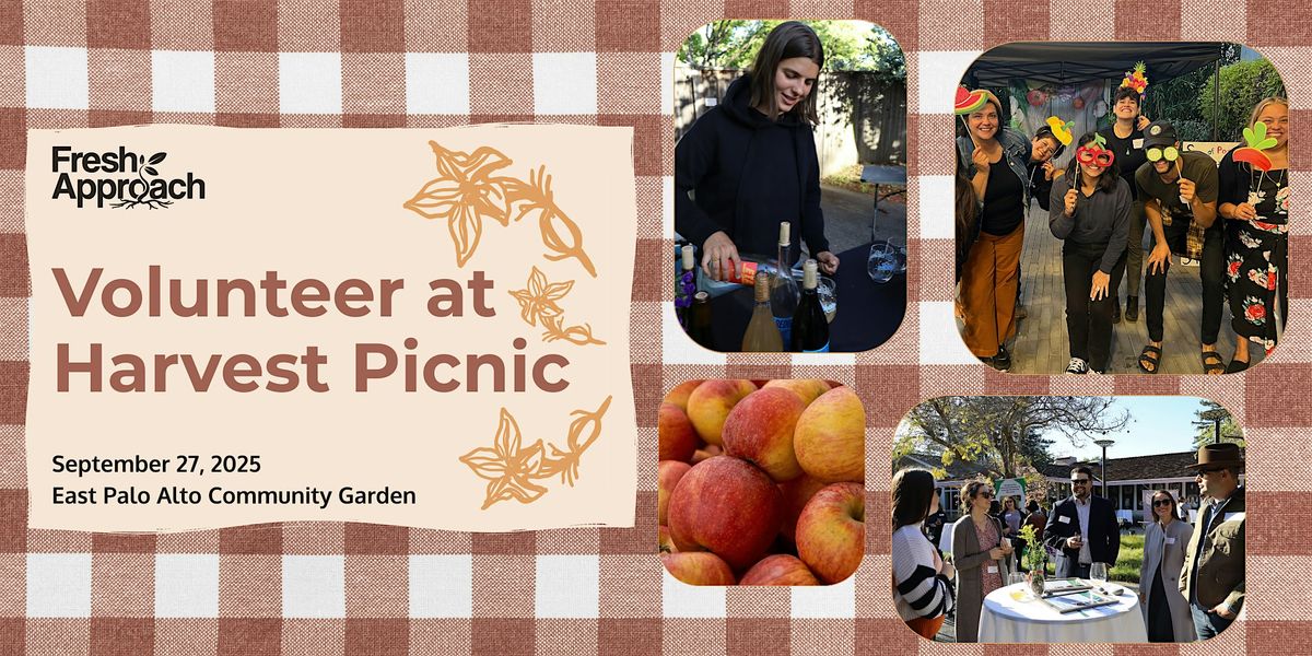 Volunteer at Harvest Picnic