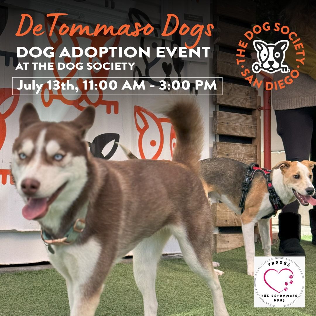 Adoption Event with DeTomasso Dogs