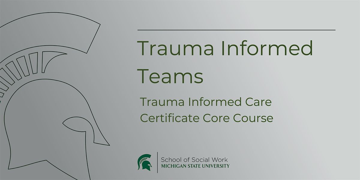 Trauma Informed Teams