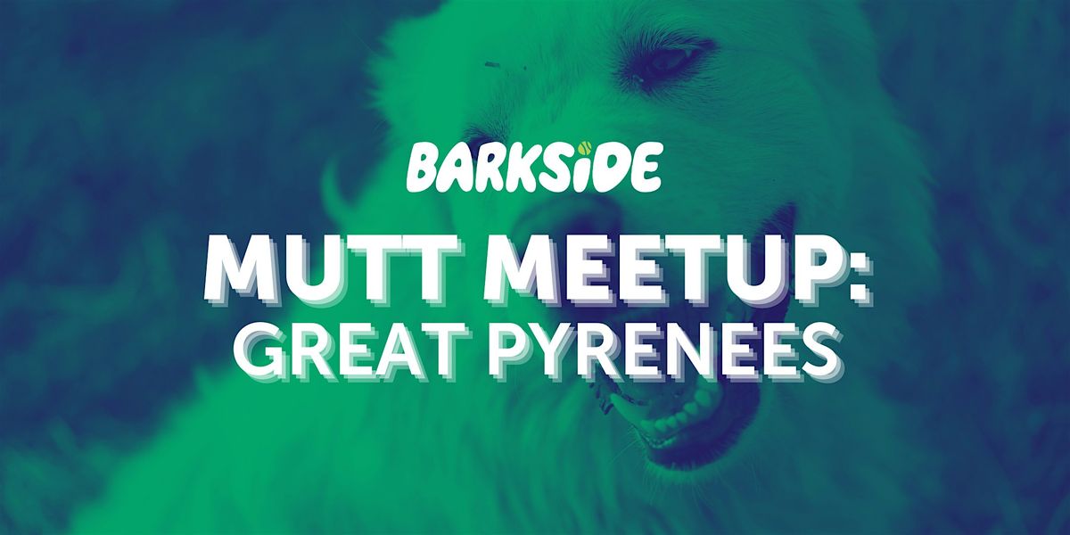 Mutt Meetup: Great Pyrenees