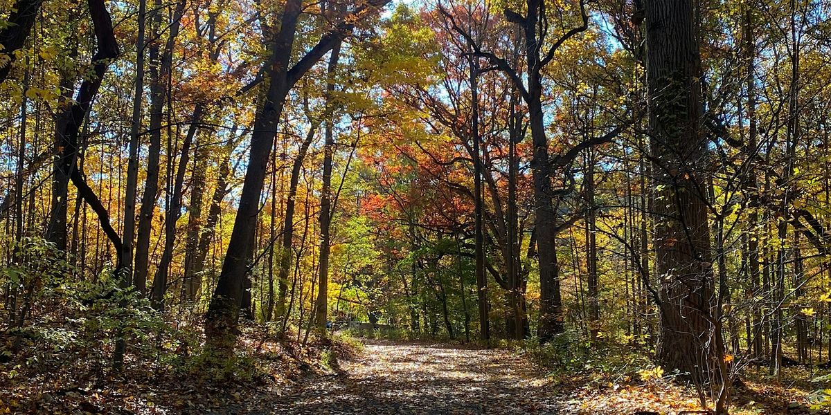 End of Autumn Hike in the Park