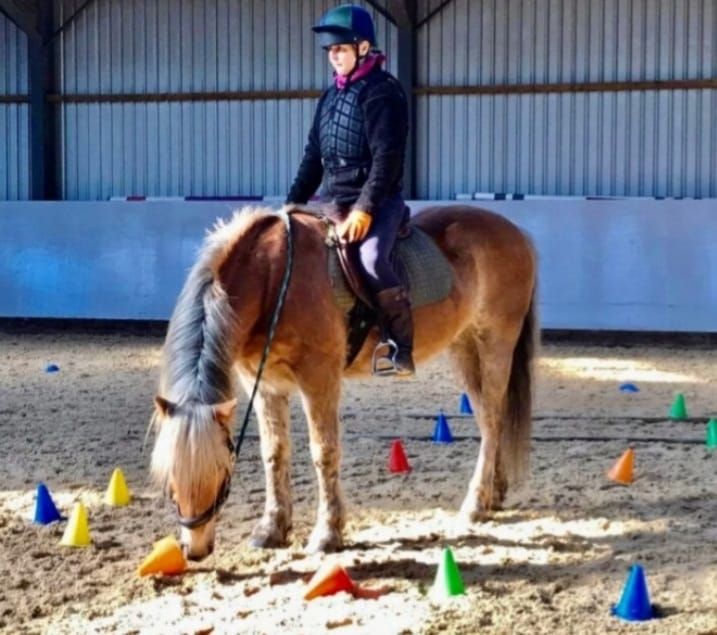 HANDY HORSE OBSTACLE TRAINING (HHOT) Clinics with PATSY PYKE