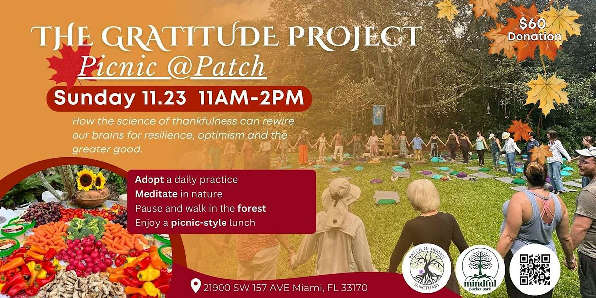 The Gratitude Project Picnic @Patch | Nurture Yourself in Nature