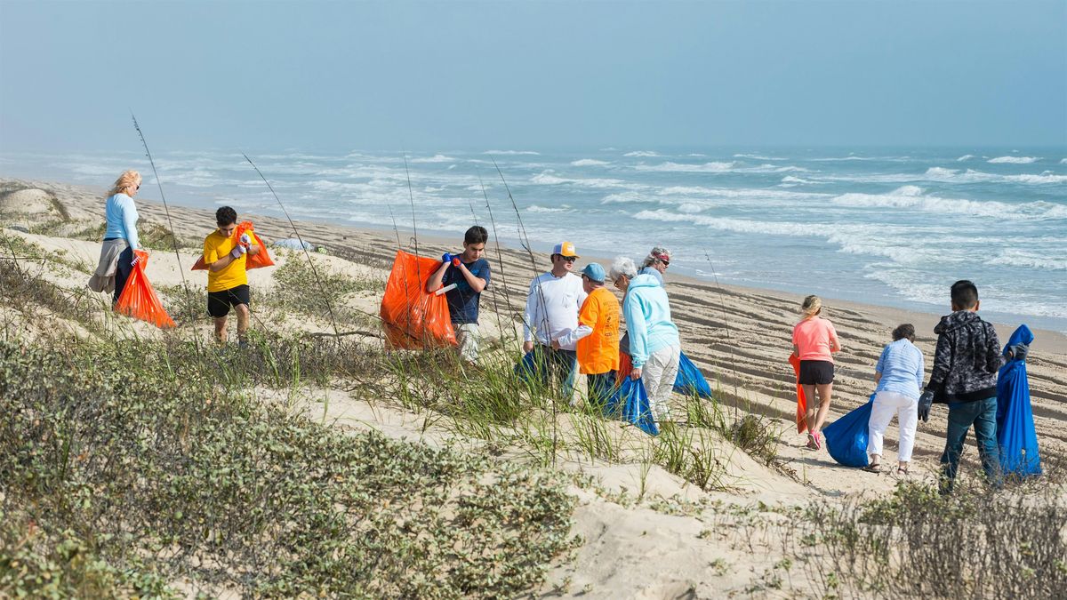 Beach Cleanup