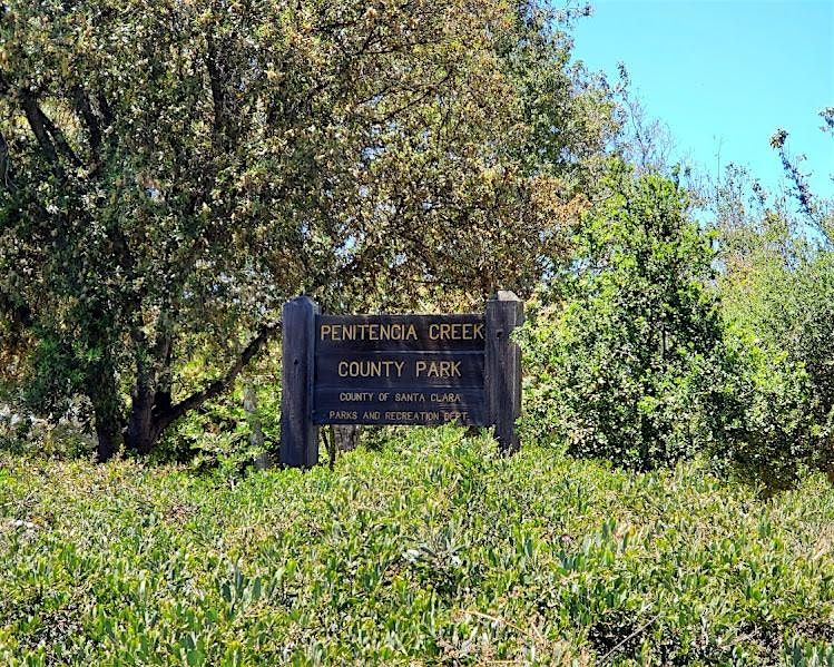 Tree Care at Penetencia Creek County Park