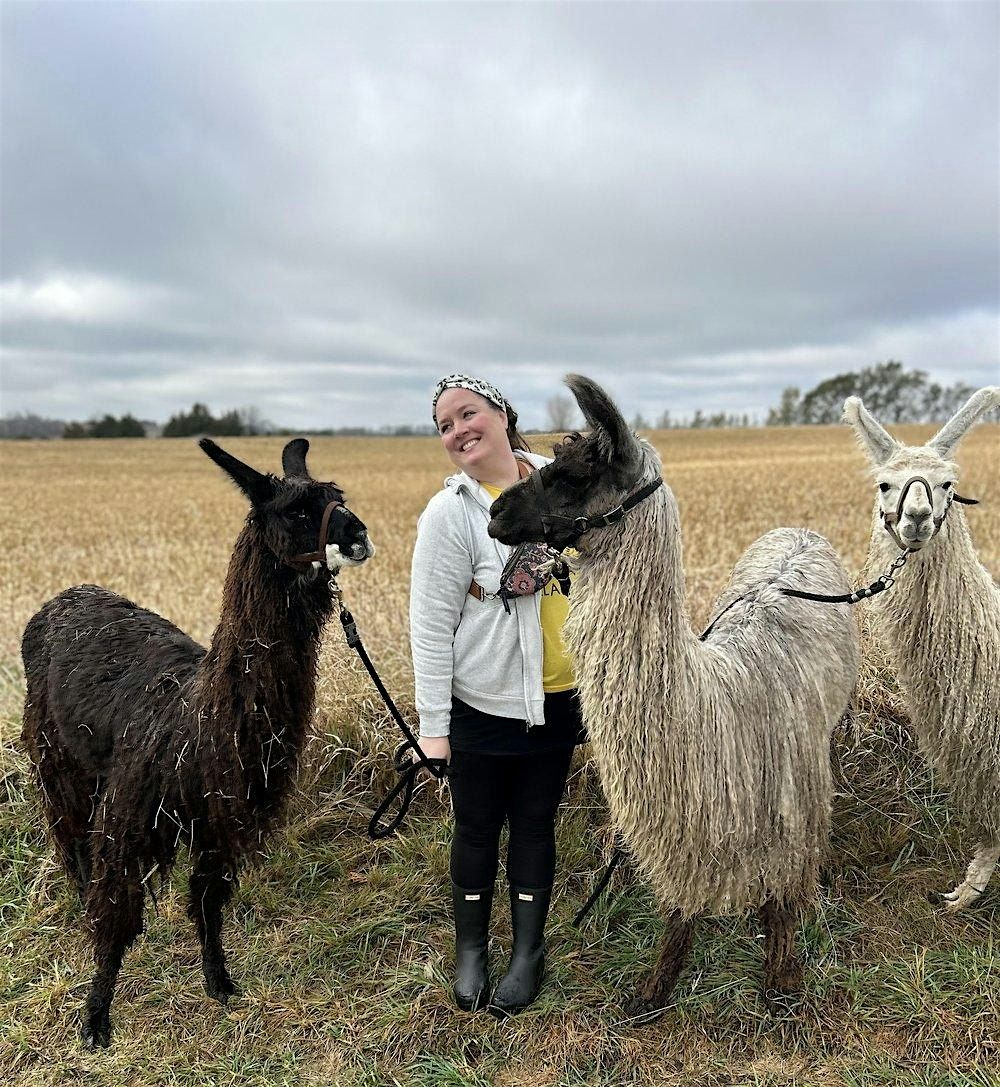 Public Group Llama Hike