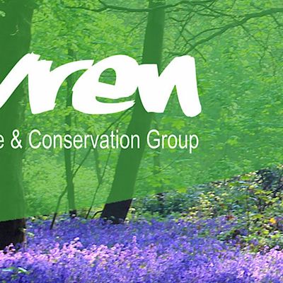 Wren Wildlife & Conservation Group