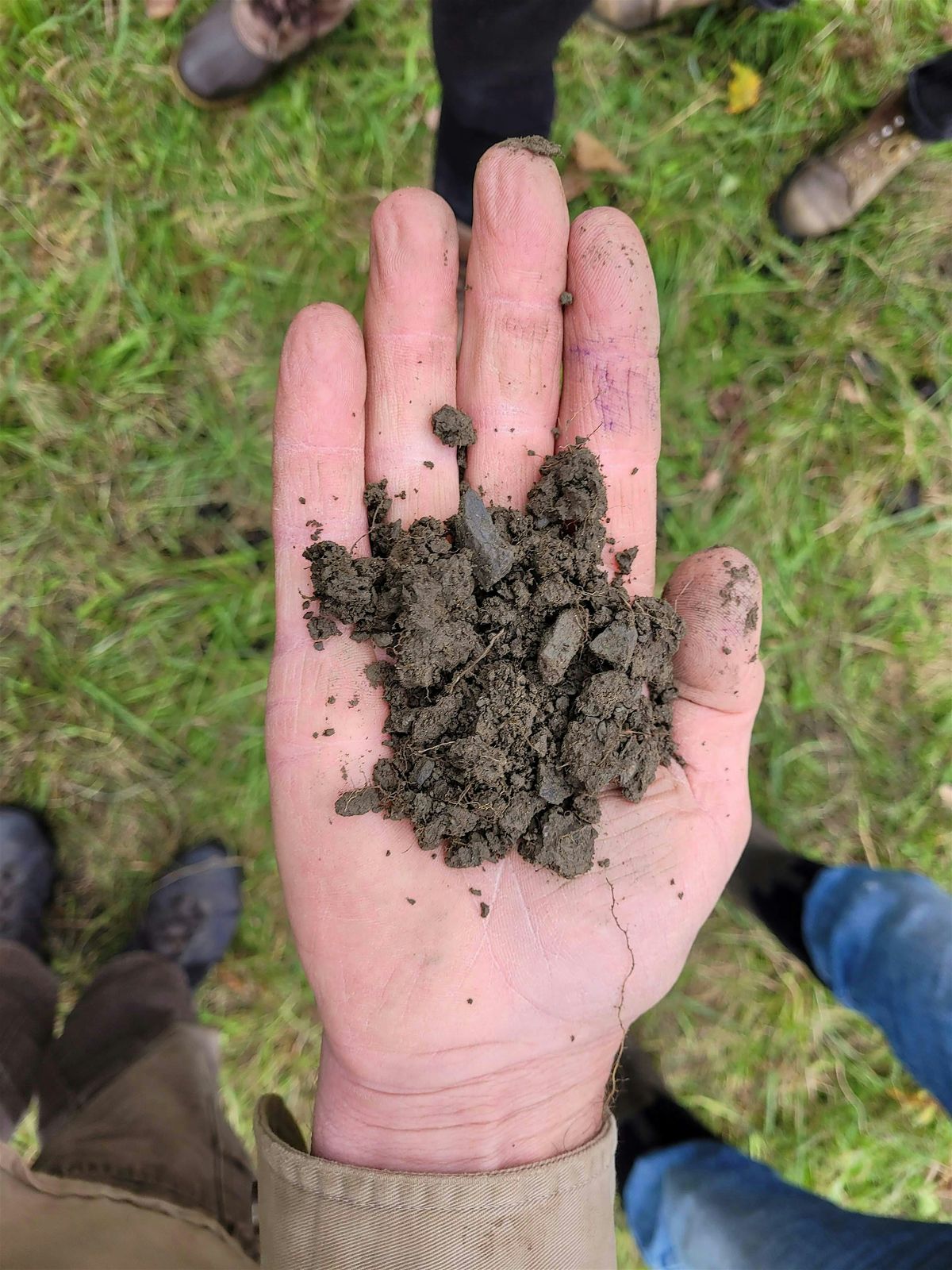 Pasture Walk at UVM\u2019s Miller Farm