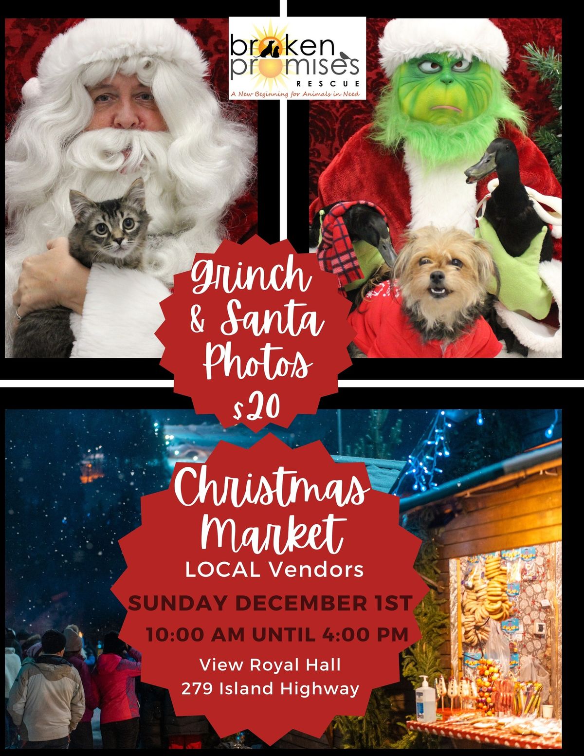 Pet Photos and Christmas Market