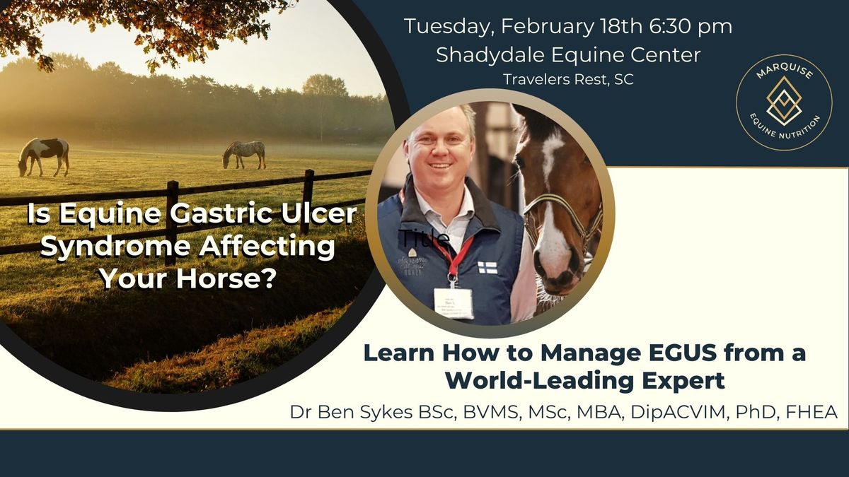 Managing Equine Gastric Ulcer Syndrome