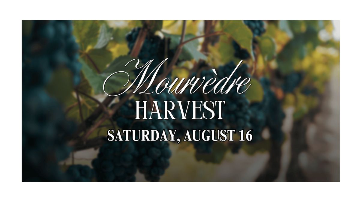 Mourv\u00e8dre Harvest