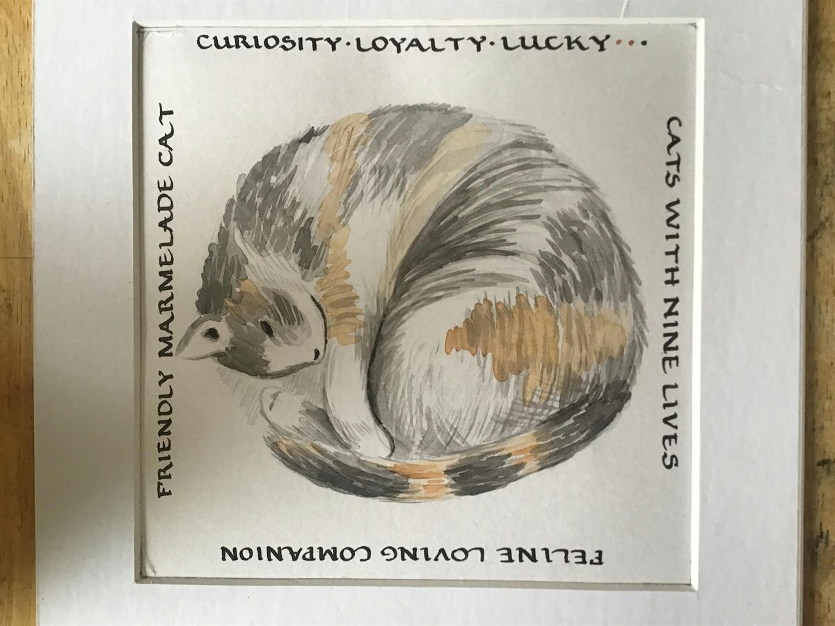 Drawing and Painting Cats