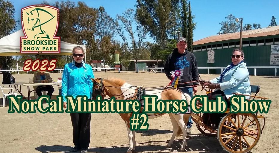 NORCAL MINIATURE HORSE CLUB SHOW #2