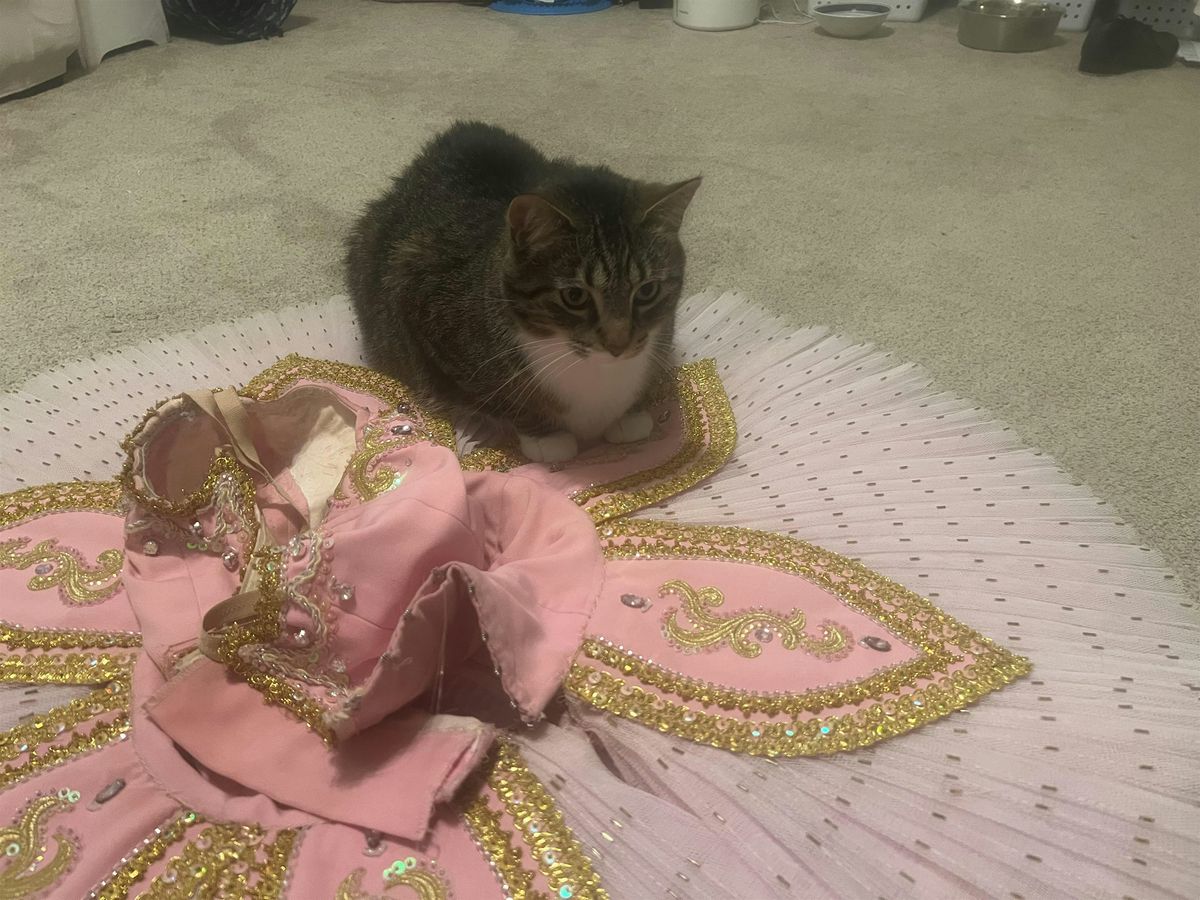 Paw de Chat