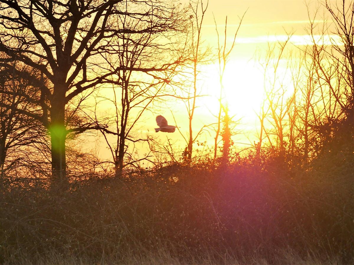 Stow Maries Great War Aerodrome: Dawn Patrol