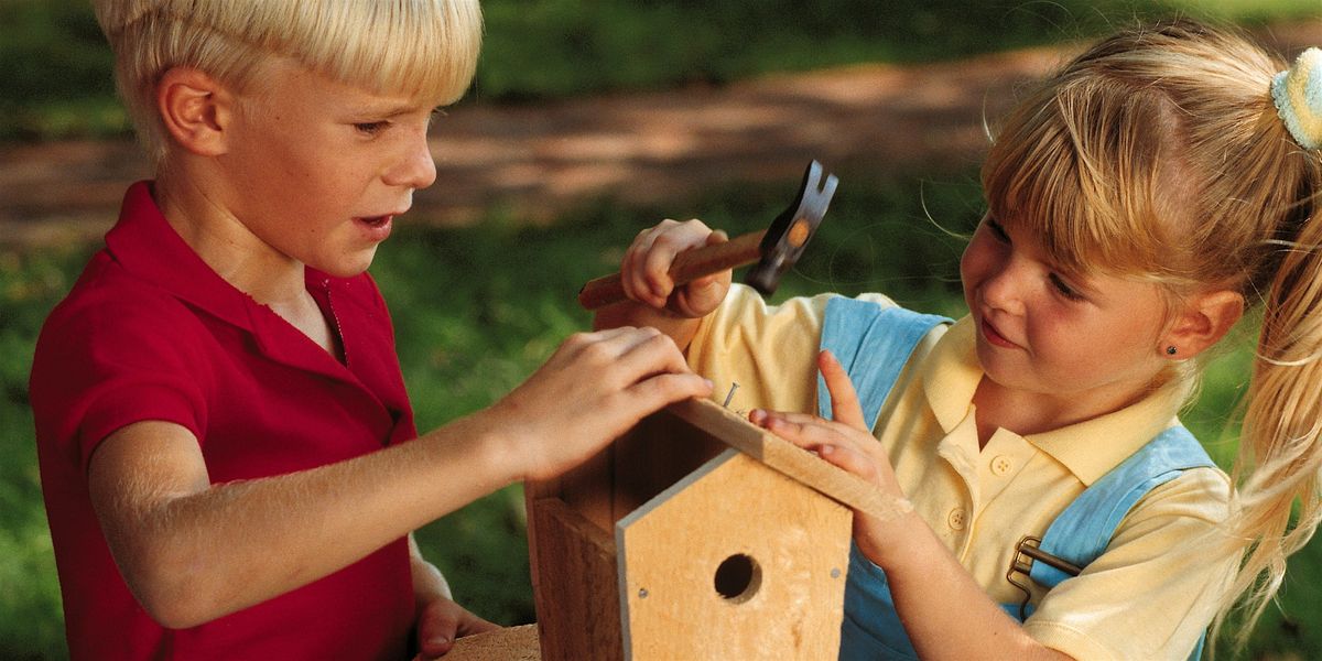 DIY Birdhouses