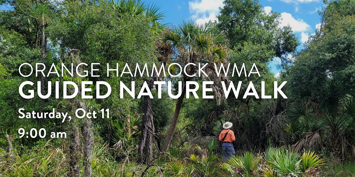Orange Hammock WMA Guided Walk
