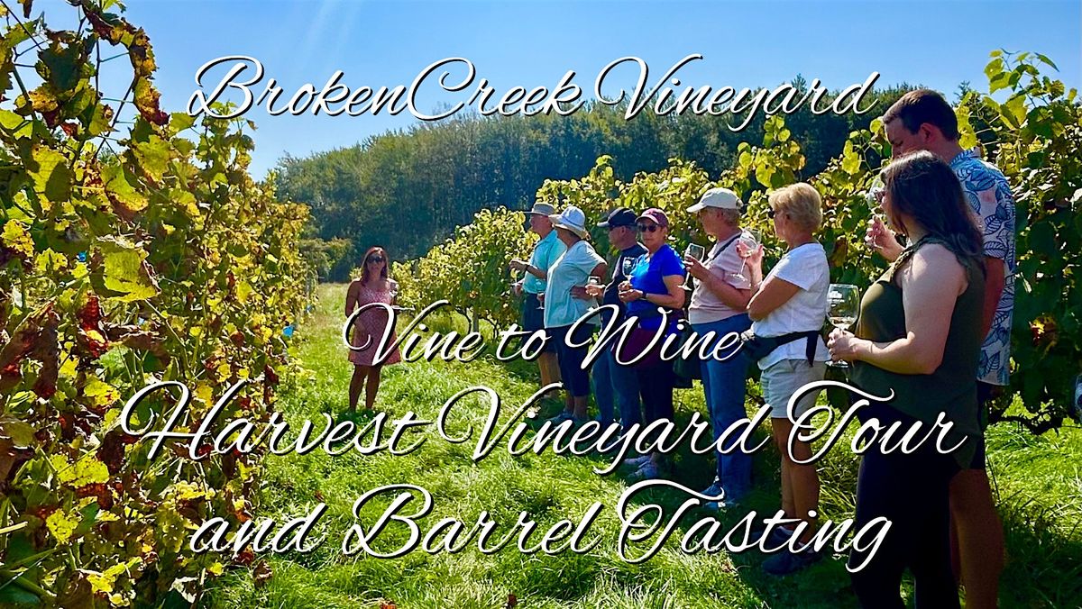 Vine to Wine Harvest Vineyard Tour\/Barrel Tasting at Broken Creek Vineyard