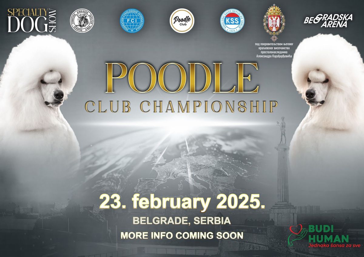 Poodle International Club Championship 