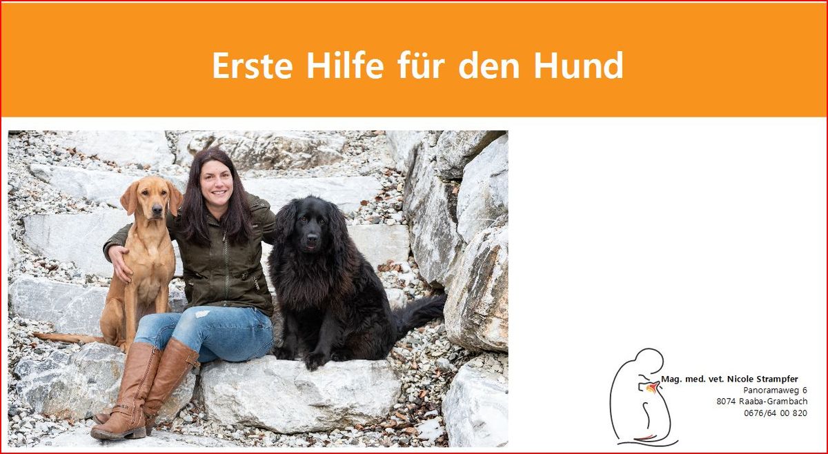 ERSTE HILFE AM HUND +++praxisnah und sehr lehrreich+++