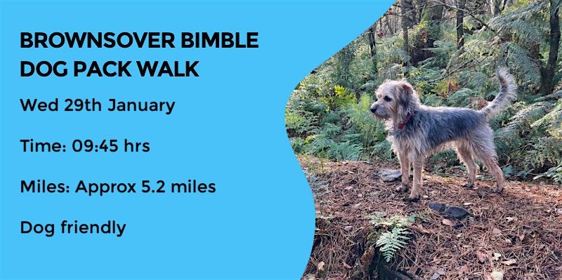 BROWNSOVER BIMBLE DOG PACK WALK | 4.5 MILES | WARWICKSHIRE