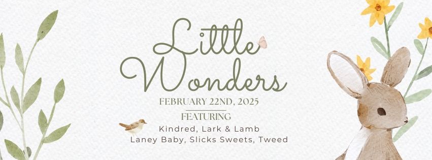 Little Wonders Baby Pop-Up 