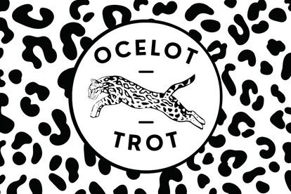 Ocelot Trot 2024