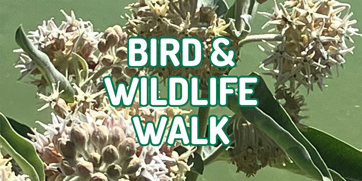 Bird & Wildlife Walk - One Truckee River & Northern Nevada Bird Alliance