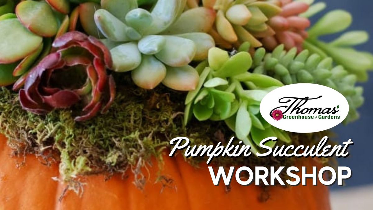 Pumpkin Succulent Workshop 