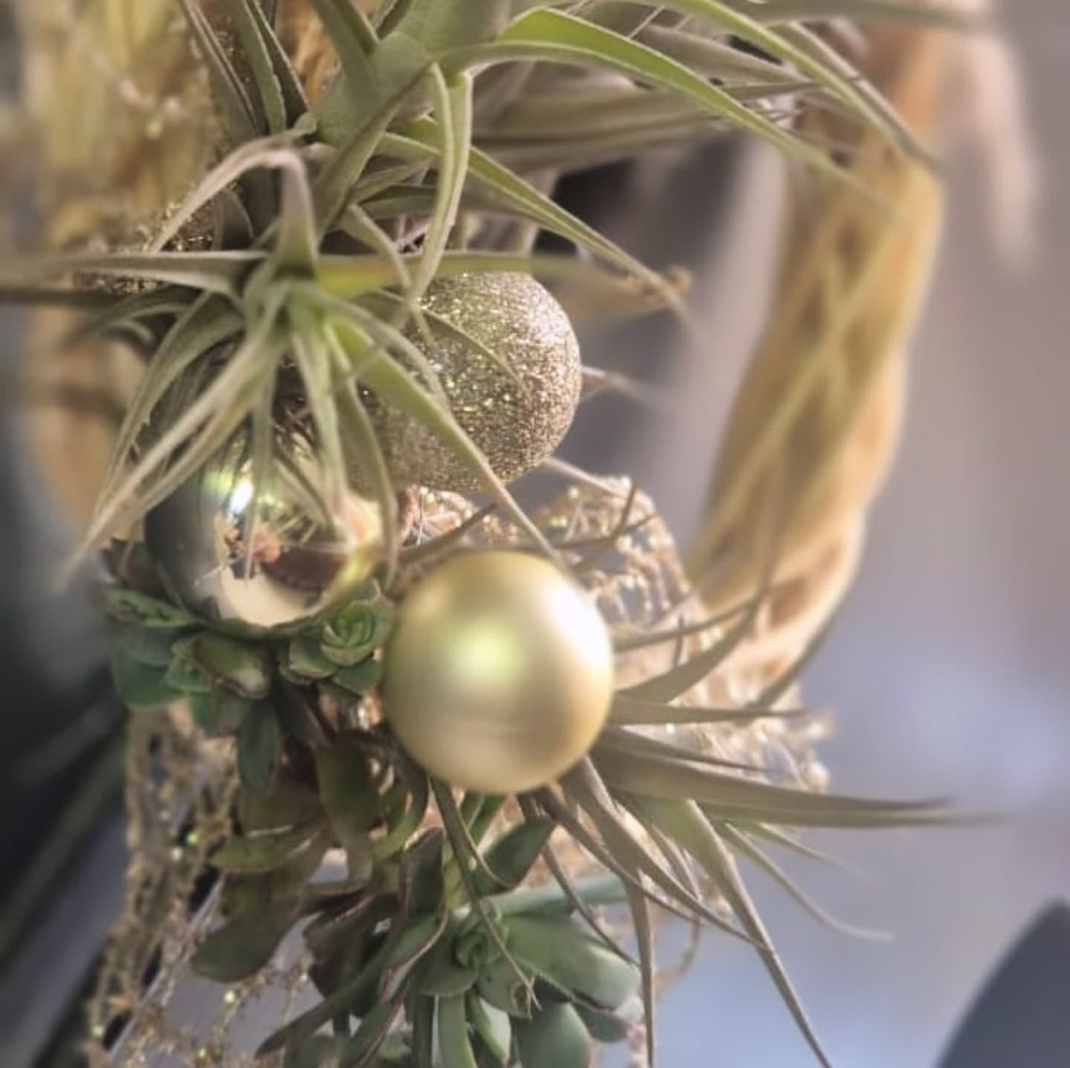 Airplant Christmas wreath workshop at PLAASLIK 