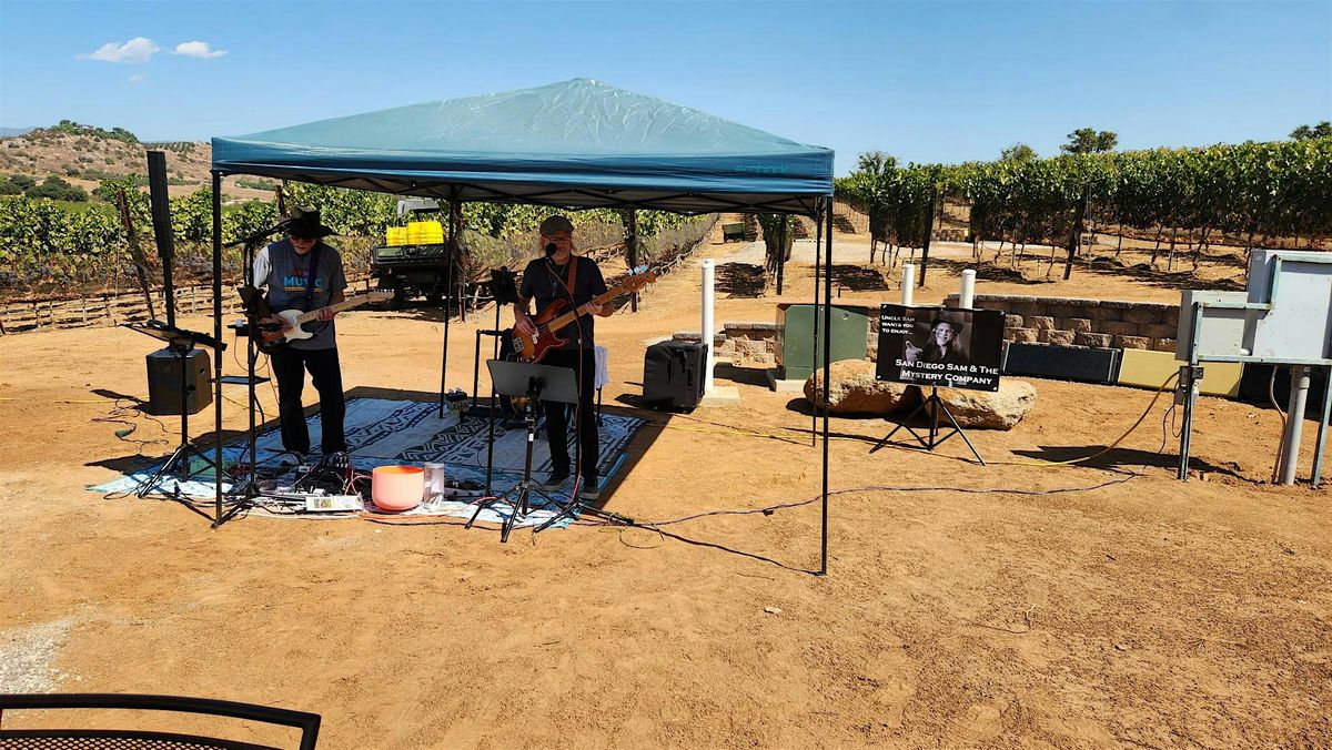 Live Music in the Vines