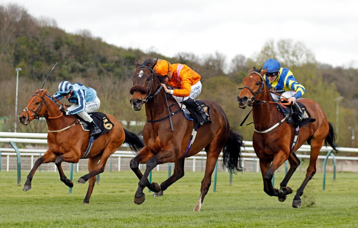 Afternoon Racing at Nottingham Racecourse 