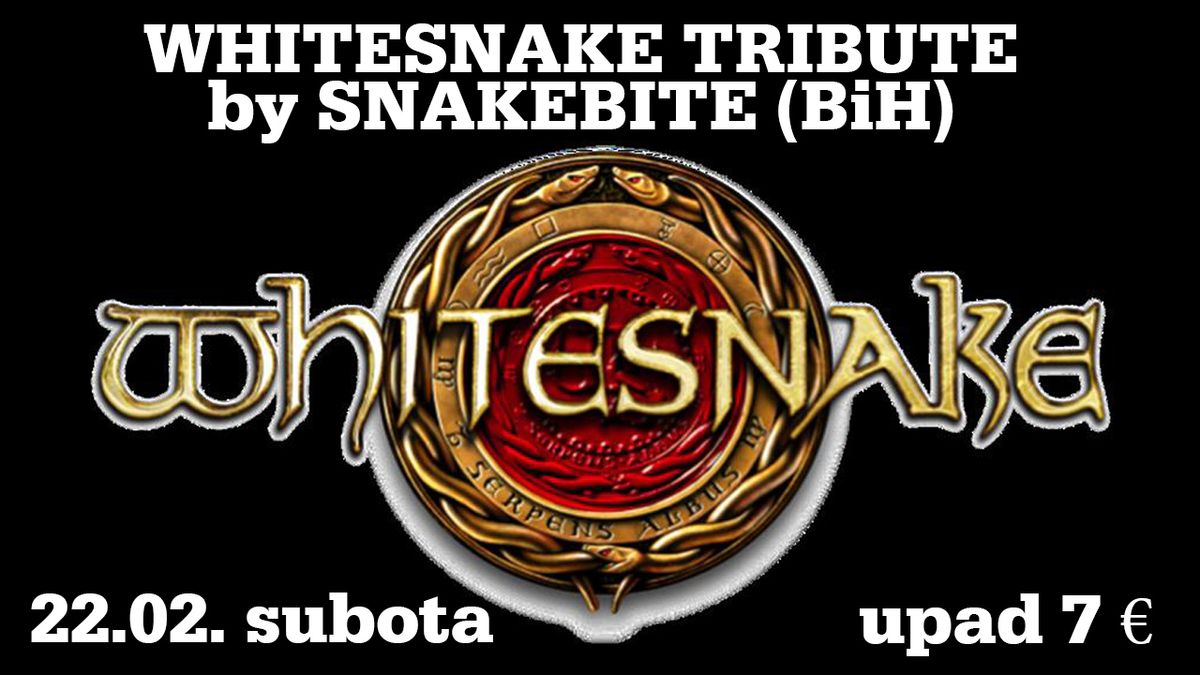 WHITESNAKE TRIBUTE BY SNAKEBITE