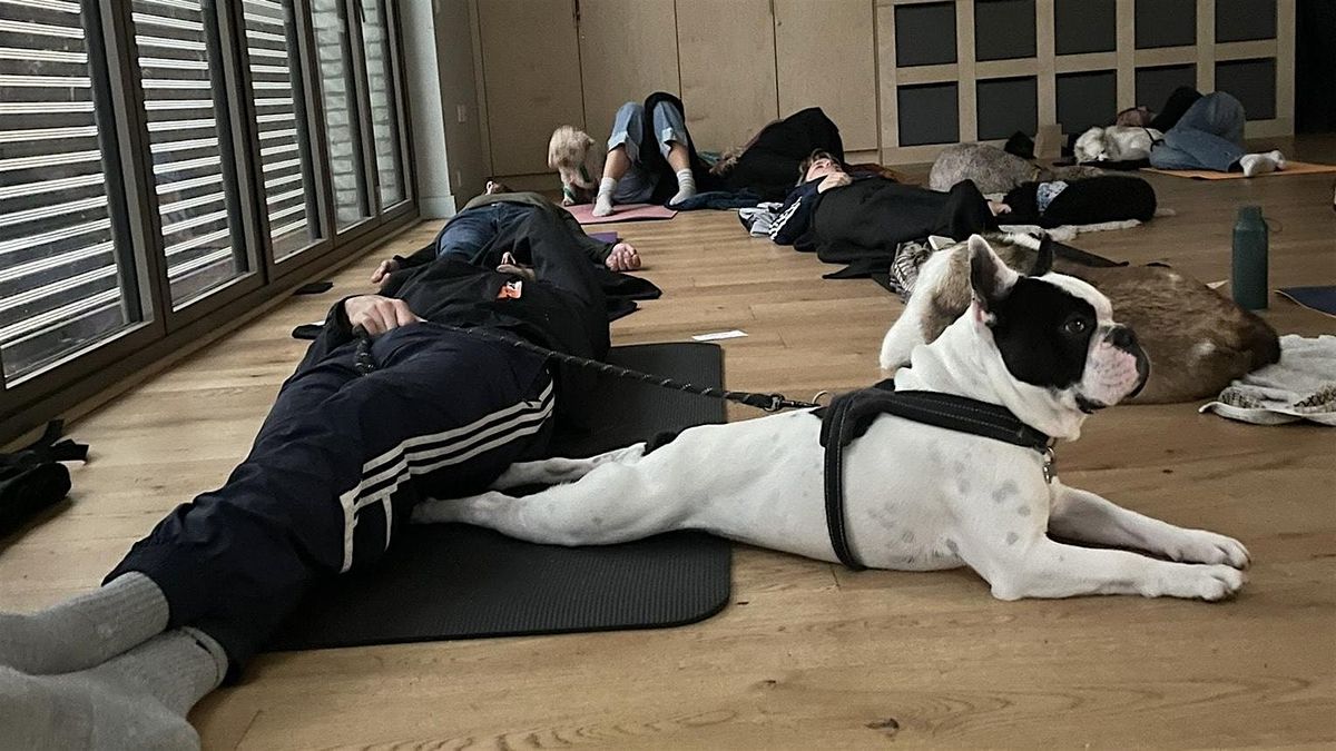 PAWS & PRESENCE- A Sound Healing journey for you and your dog.