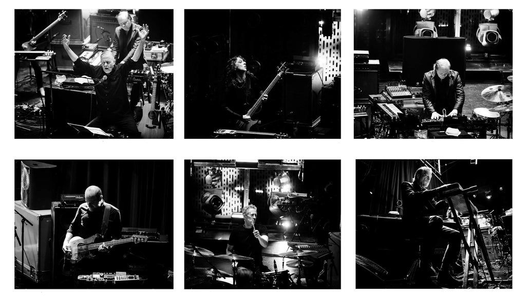 Swans (16 & Over)