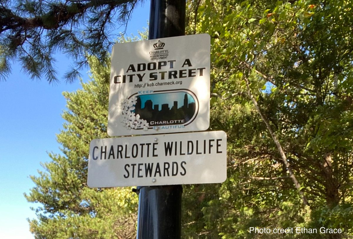 Keep Charlotte Beautiful Roadside Cleanup with Charlotte Wildlife Stewards