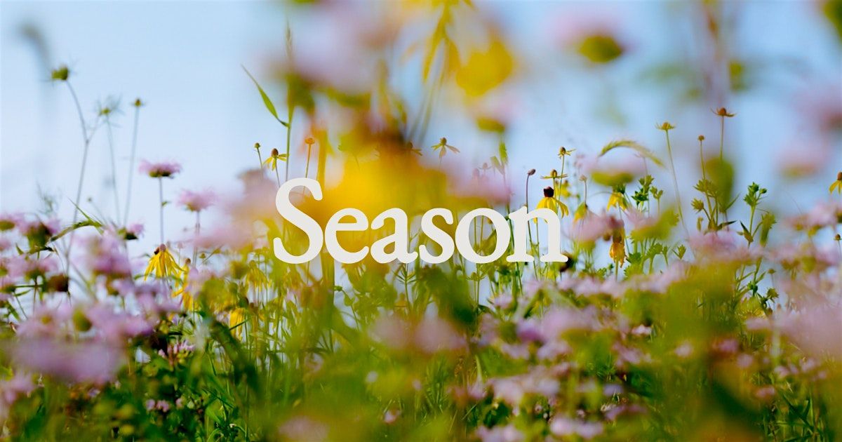 Season - Detroit's First Contemporary Art Fair