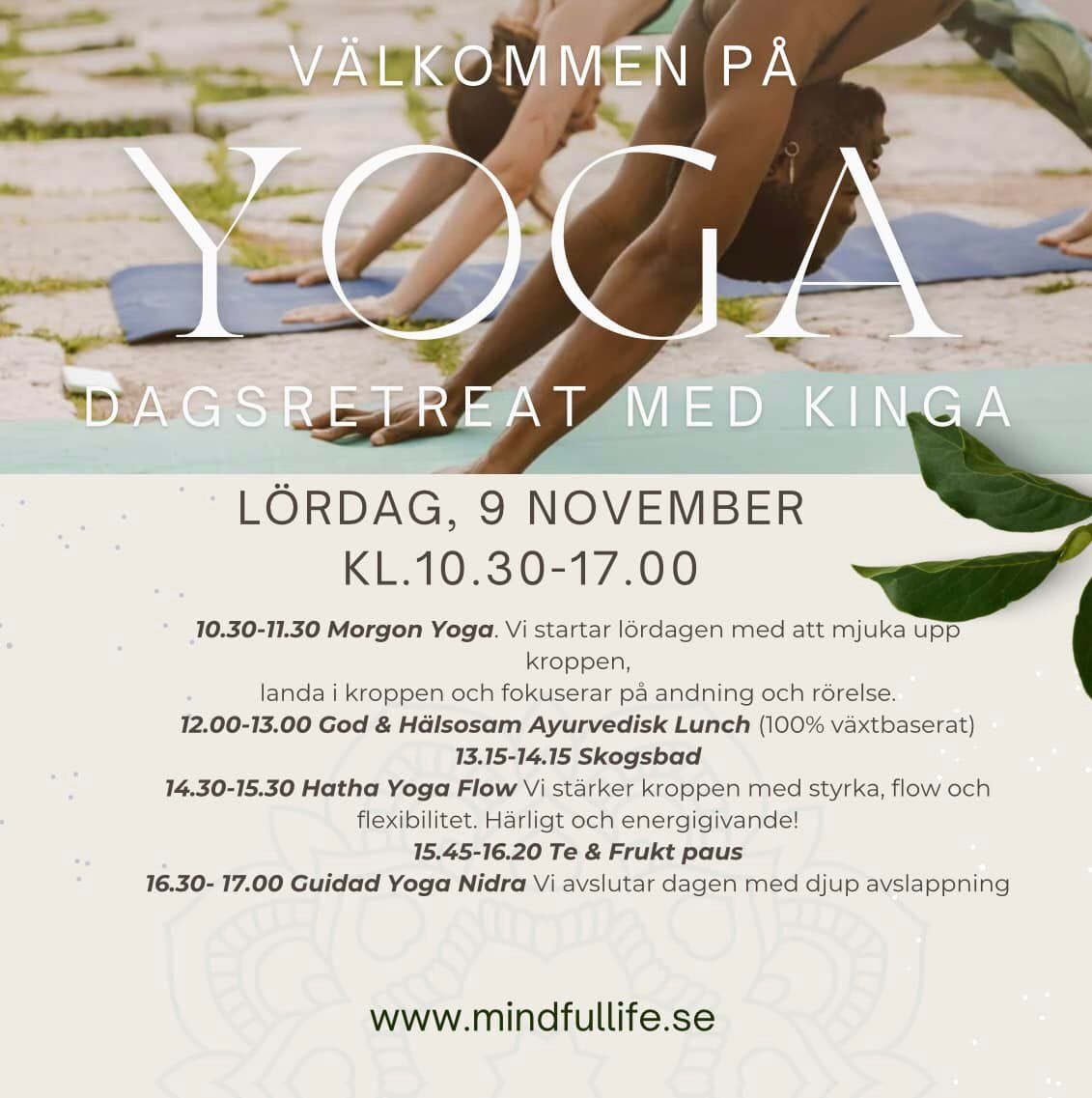 Yoga Dagsretreat 