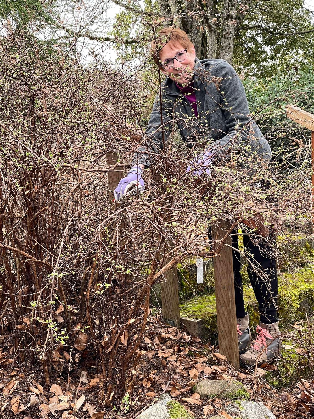 Pruning for Novices at Closed Loop Park Demonstration Garden