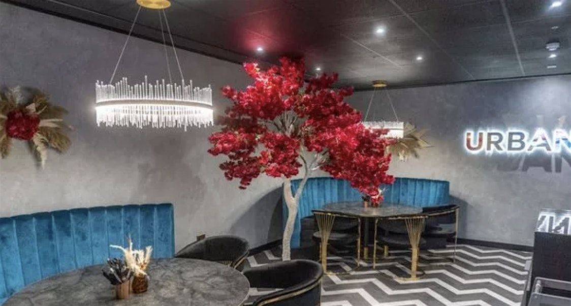 Festive Christmas Sip and Paint - London