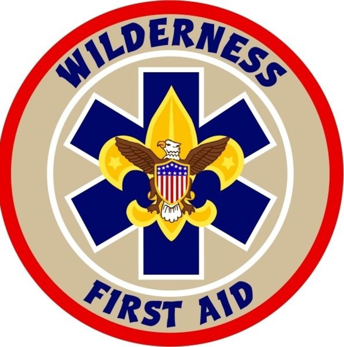 Wilderness First Aid 