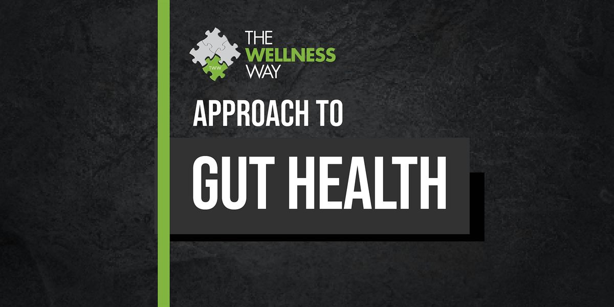 The Wellness Way's Approach to Gut Health