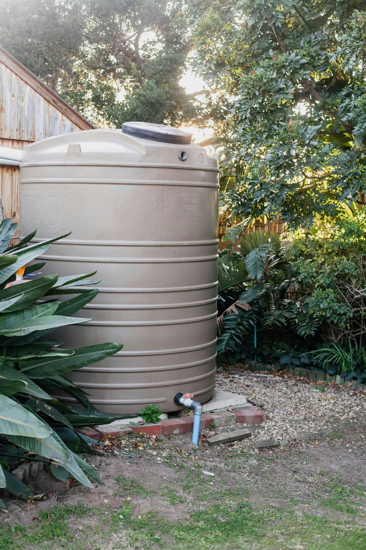 Using Rain Barrels in Your Garden