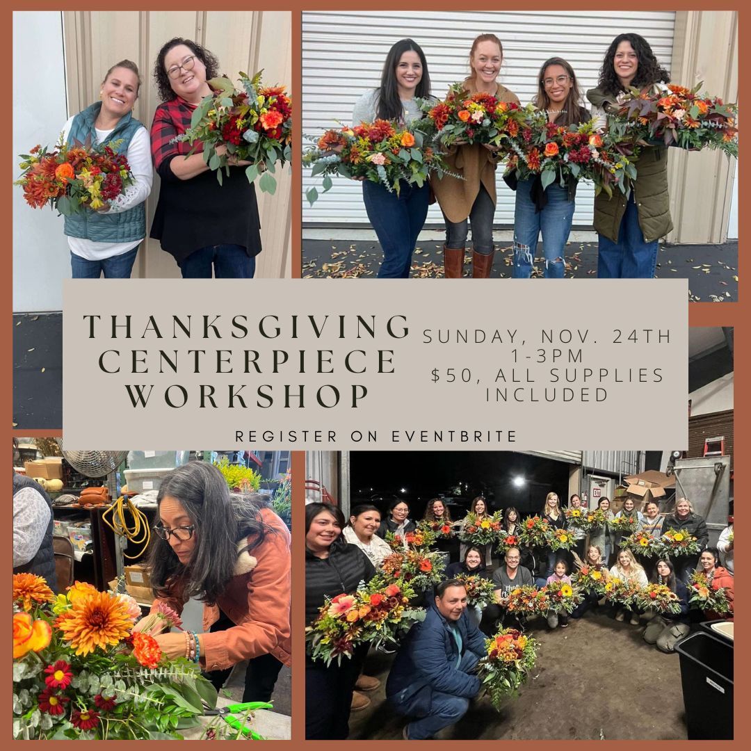 Thanksgiving Centerpiece Workshop - Session 1 - SOLD OUT