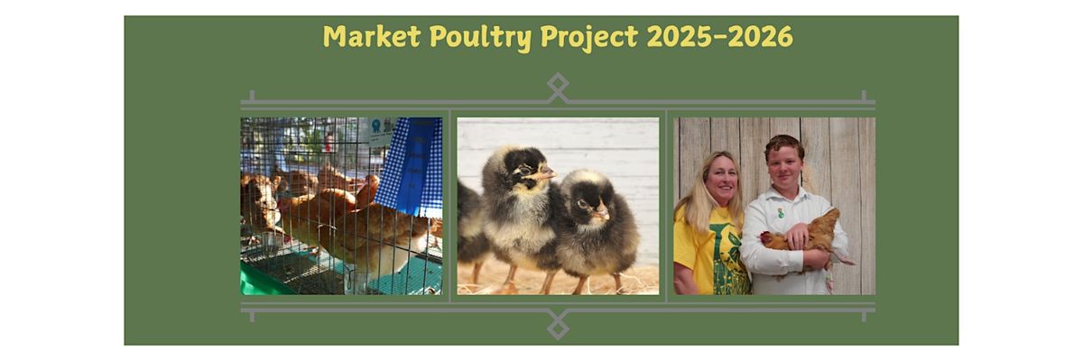 2025-2026 Brevard County  4-H  Market Poultry Project